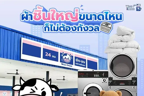 WashXpress ร้านซักผ้านวม ร้านซักท็อปเปอร์ และบริการซักผ้าม่าน สะอาดใน 1 ชม.
