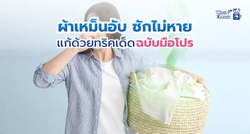 ผ้าเหม็นอับ ซักไม่หาย แก้ได้ด้วยทริคเด็ดจากพี่วัว WashXpress