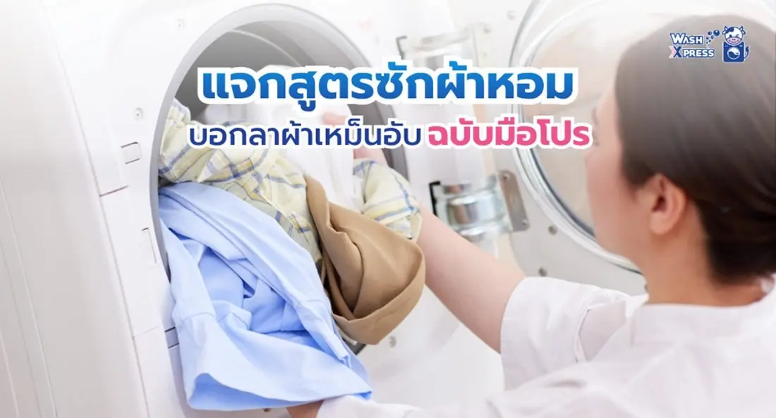 แจกสูตรซักผ้าหอม ฟุ้งติดทนนาน เคล็ดลับผ้าหอมเหมือนส่งร้านซักรีด