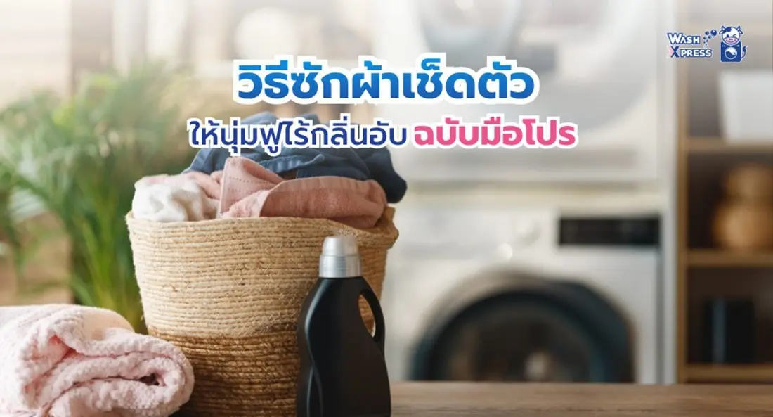 วิธีซักผ้าเช็ดตัว ให้นุ่มฟูไร้กลิ่นอับ ฉบับมือโปร