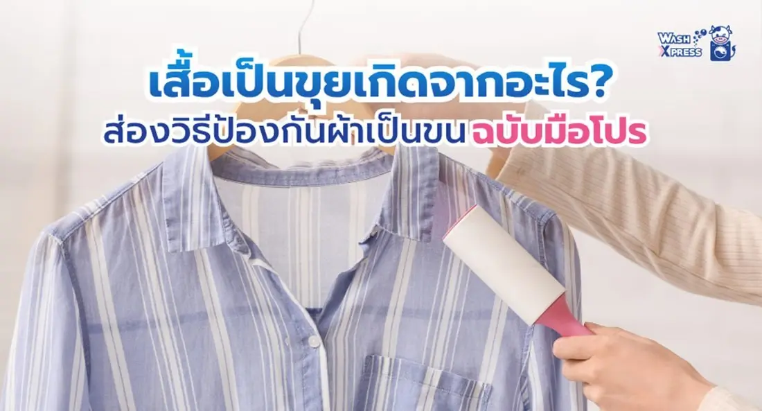 วิธีแก้เสื้อเป็นขุย ให้กลับมาเรียบกริ๊บเหมือนเพิ่งซื้อใหม่