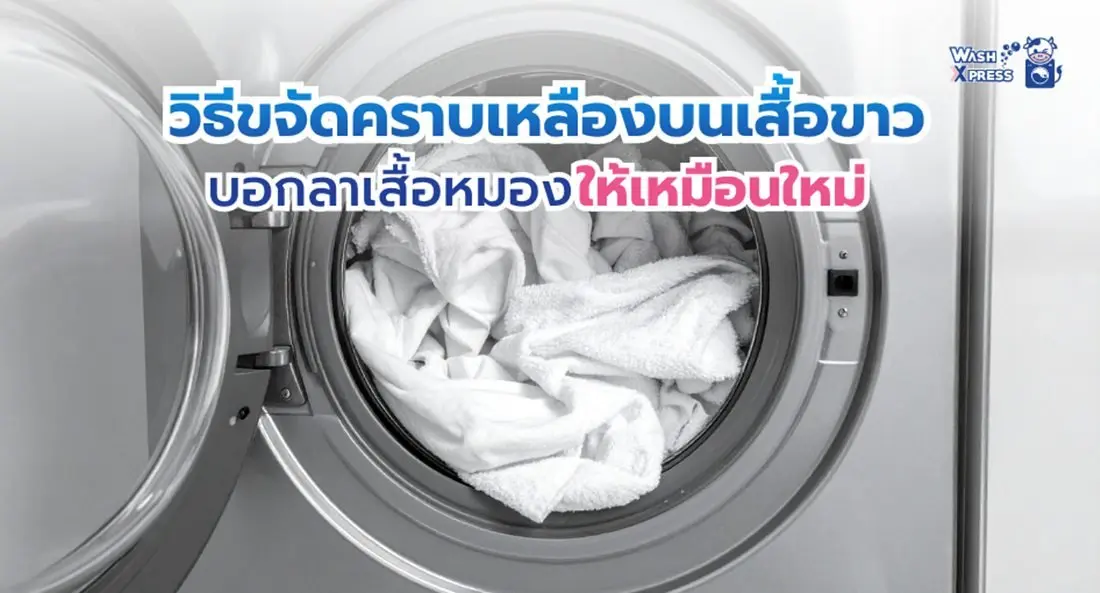 บอกลาเสื้อหมอง! วิธีแก้คราบเหลืองบนเสื้อขาว ฉบับมือโปร