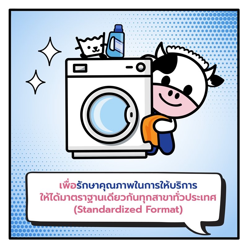 ทำไม "ร้านซักผ้าพี่วัว" ถึงไม่ขายแฟรนไชส์? เพราะเรา “ลงทุนเอง บริหารเอง ดูแลเอง” เพื่อรักษามาตรฐานการซักระดับพรีเมียมให้ทุกสาขาเหมือนกันเป๊ะ!