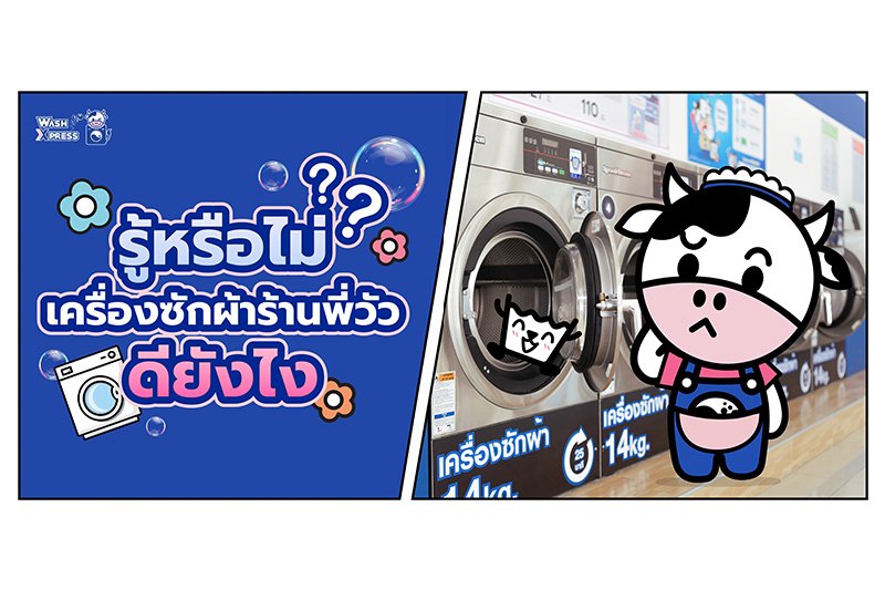 จะมาเป็นเครื่องซักผ้าร้านพี่วัว บอกเลยว่าต้องไม่ธรรมดาแน่นอน