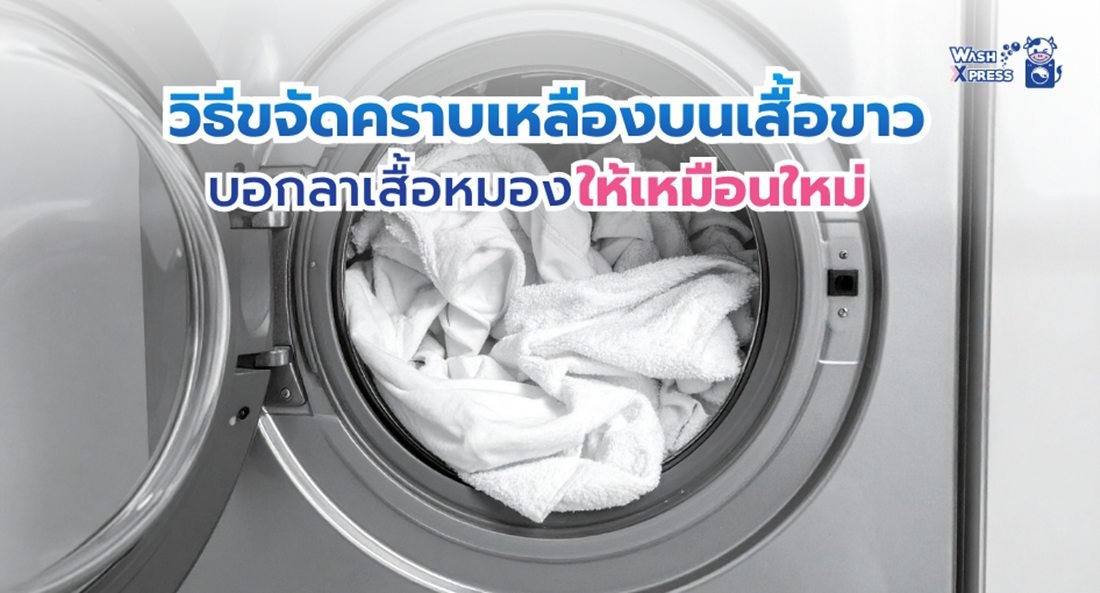 บอกลาเสื้อหมอง! วิธีแก้คราบเหลืองบนเสื้อขาว ฉบับมือโปร