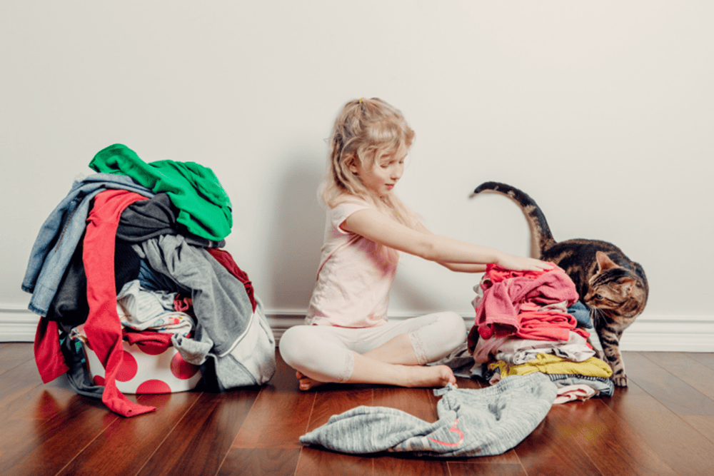 5 ตัวช่วย ซักผ้าสัตว์เลี้ยงให้สะอาด