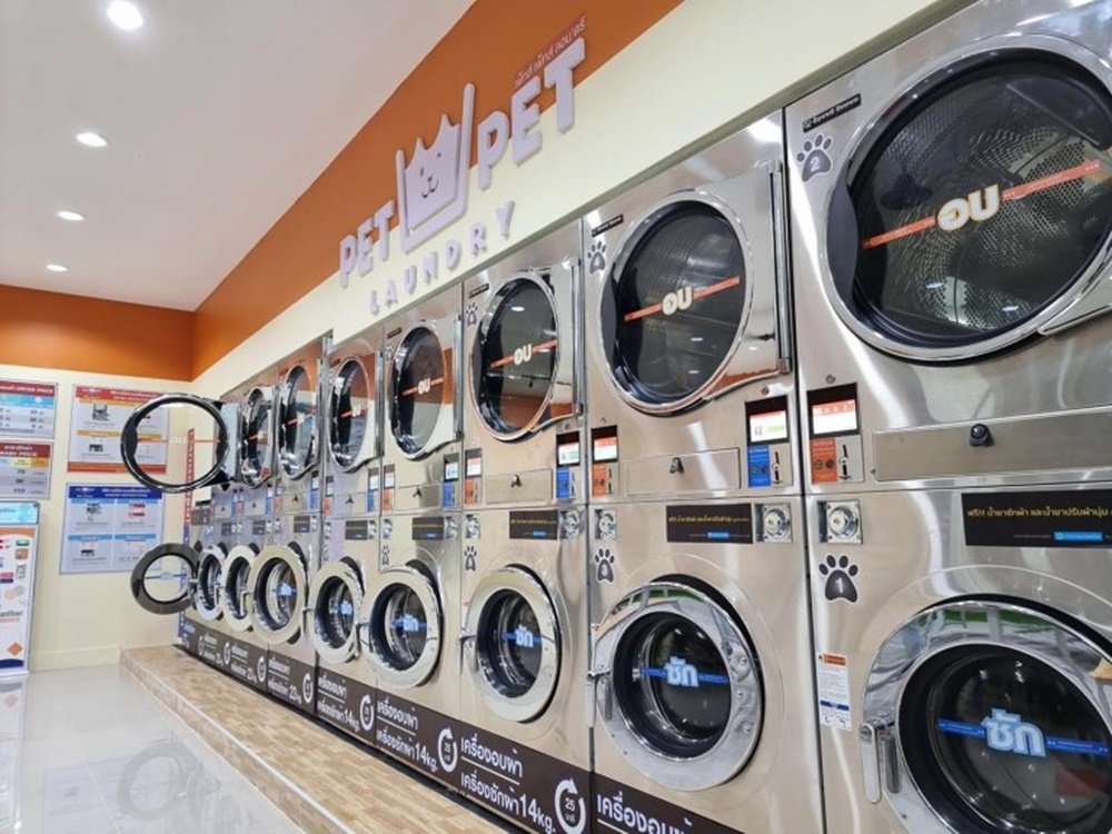 เอาใจคนรักสัตว์! พบกับ Pet Pet Laundry