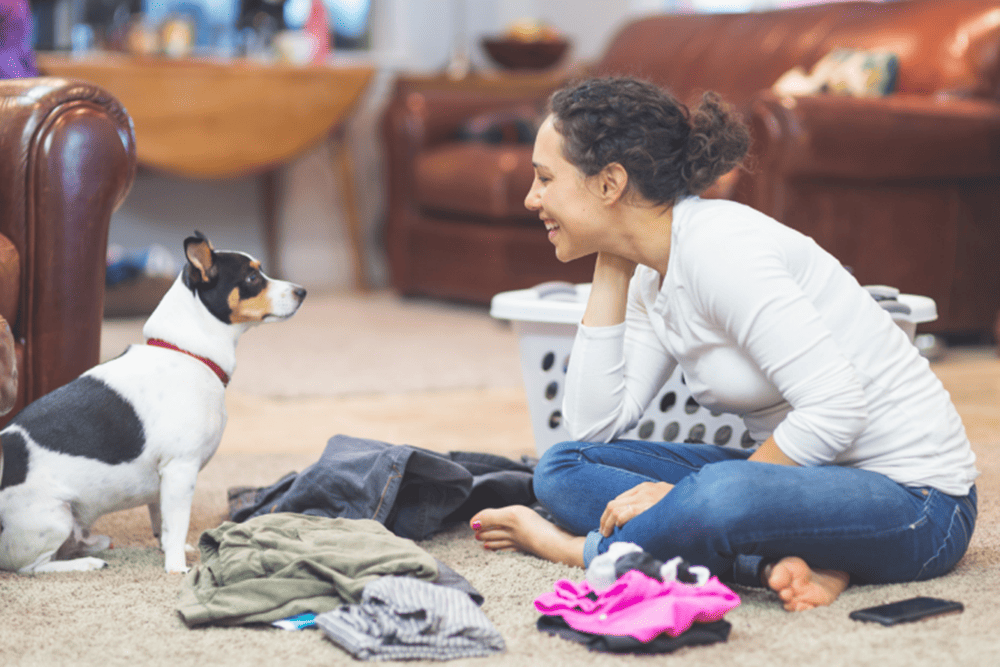 รวมเทคนิคซักผ้าหมา ให้เสื้อหอมสะอาด ไร้กลิ่นอับชื้น