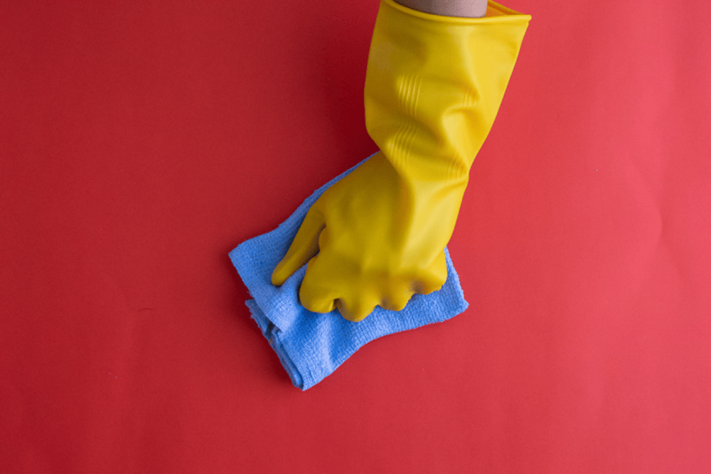 10 วิธี กำจัดขนแมว บนเสื้อผ้า